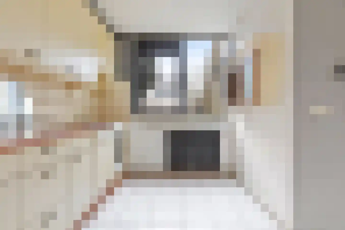 Patrijspoort 26 Groningen thumbnail 12