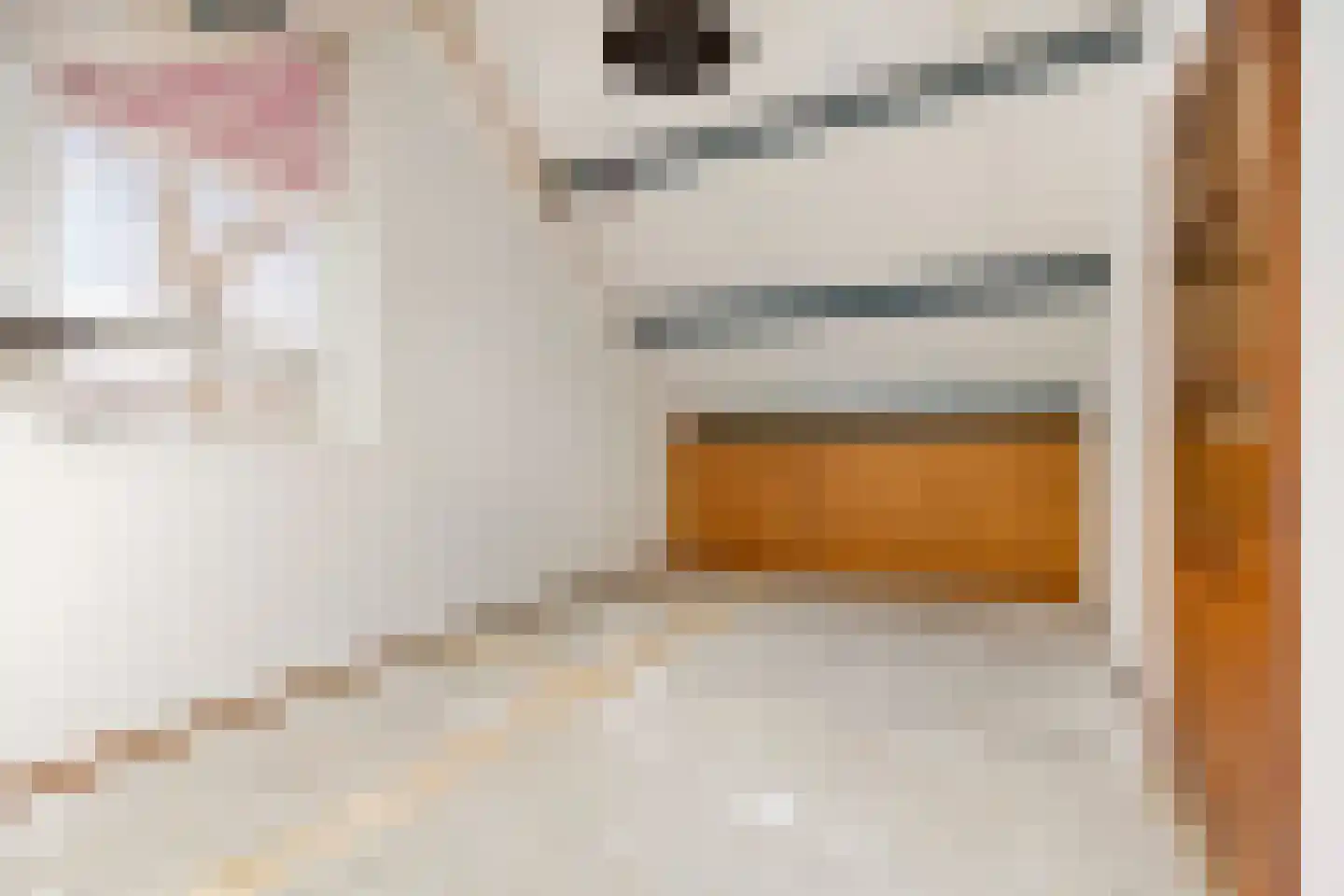 Patrijspoort 26 Groningen thumbnail 23