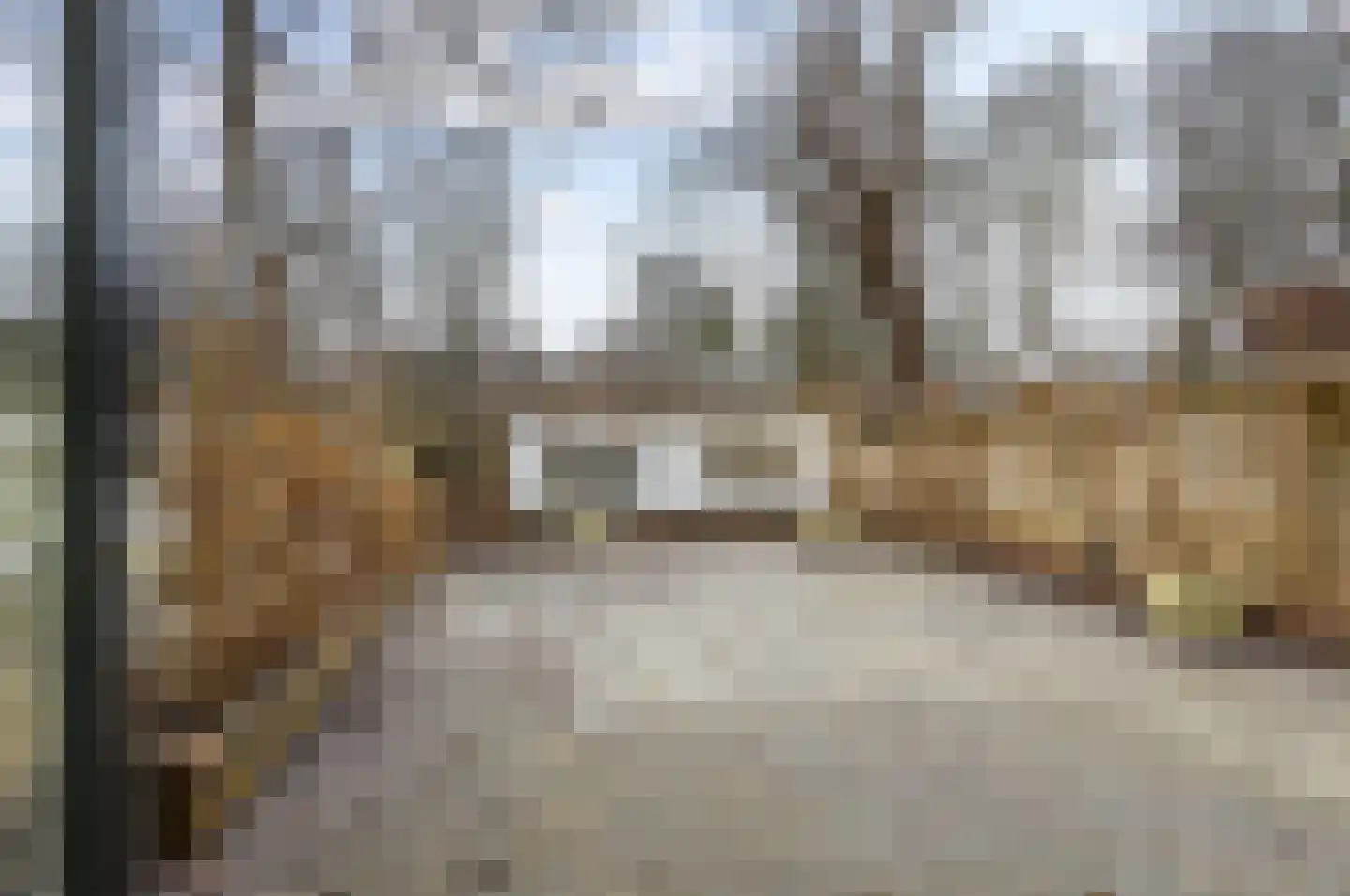 Patrijspoort 26 Groningen thumbnail 24