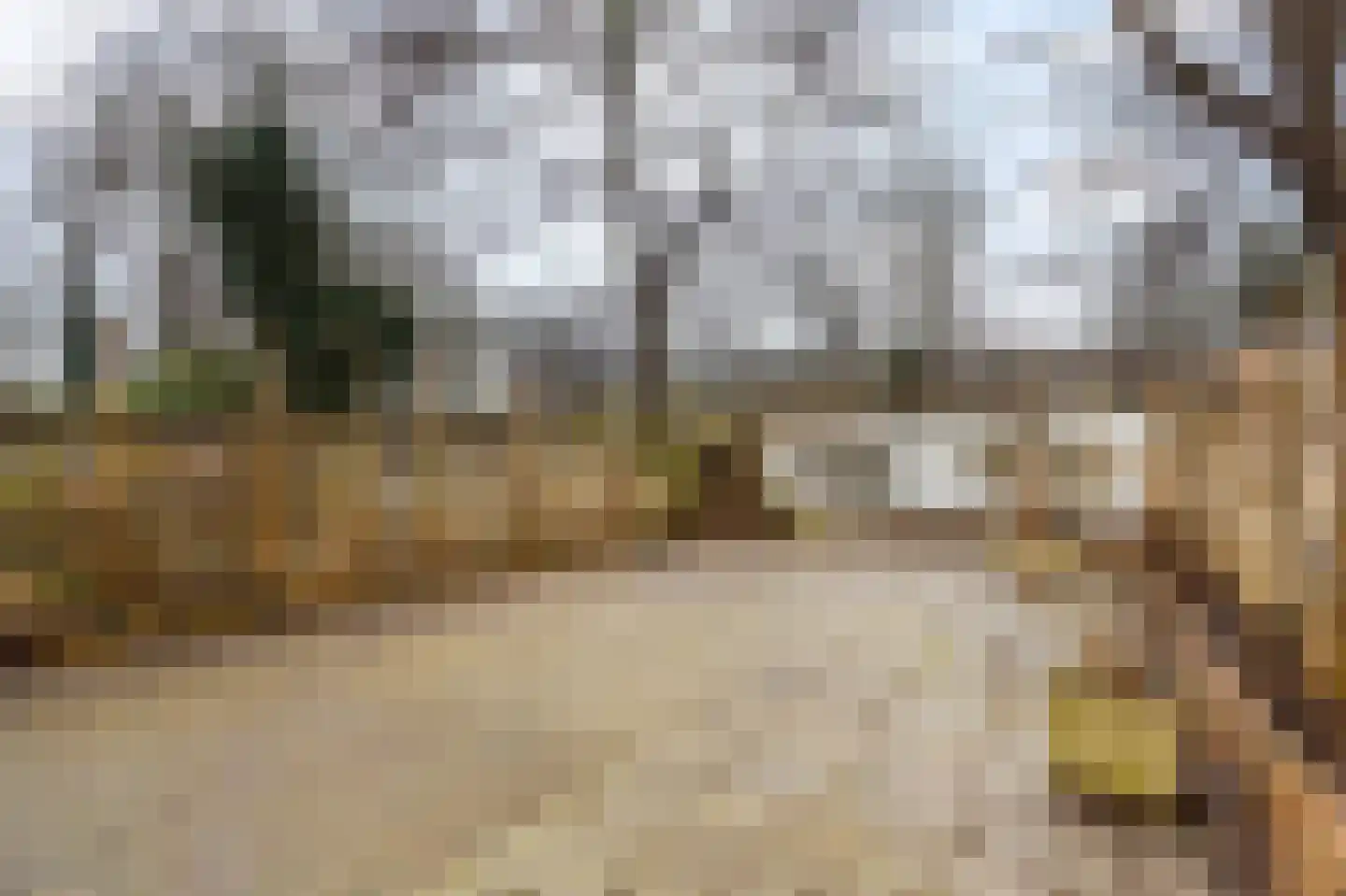 Patrijspoort 26 Groningen thumbnail 25