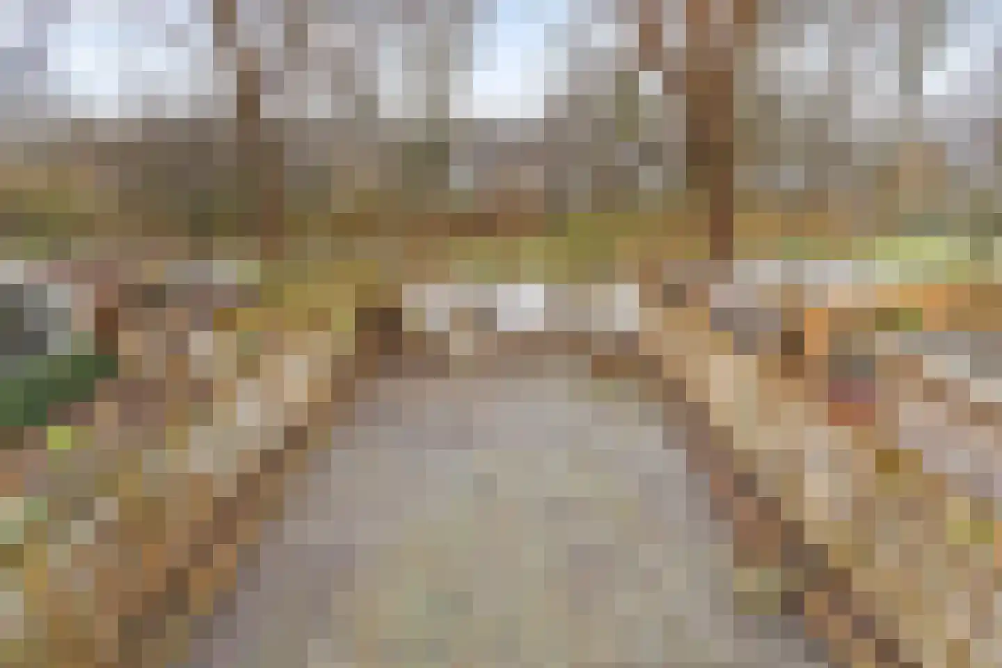 Patrijspoort 26 Groningen thumbnail 4