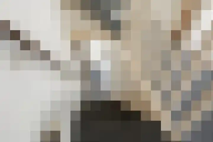 Patrijspoort 33 Groningen thumbnail 18