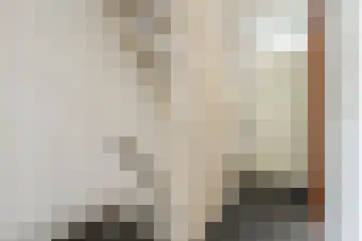 Patrijspoort 33 Groningen thumbnail 19