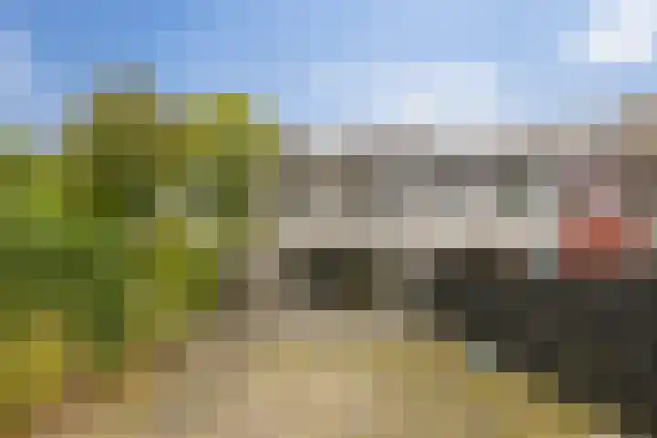 Patrijspoort 33 Groningen thumbnail 30