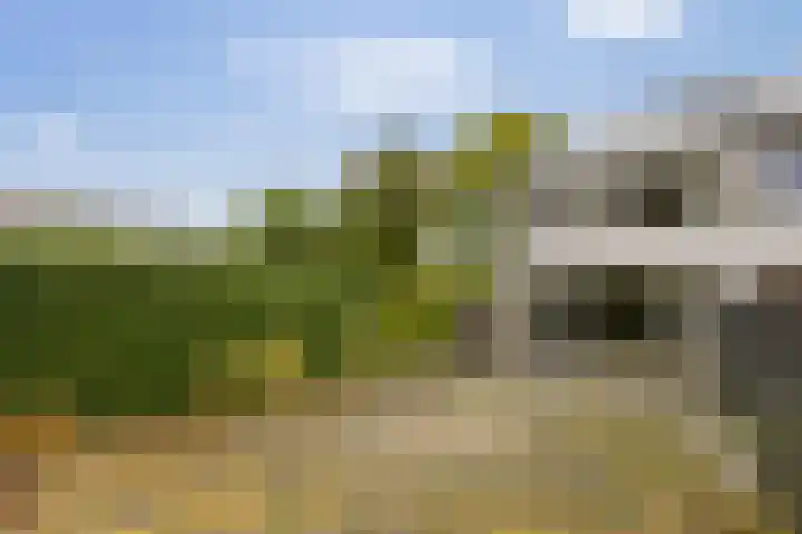 Patrijspoort 33 Groningen thumbnail 32