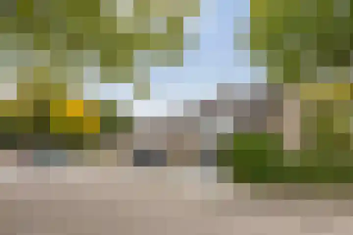 Patrijspoort 33 Groningen thumbnail 33