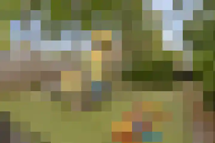 Patrijspoort 33 Groningen thumbnail 34