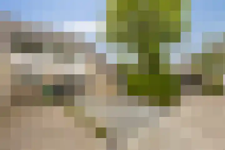 Patrijspoort 33 Groningen thumbnail 7