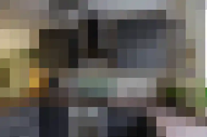 Patrijspoort 37 Groningen thumbnail 11