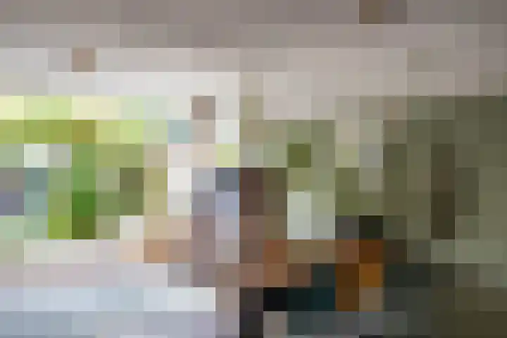 Patrijspoort 37 Groningen thumbnail 14