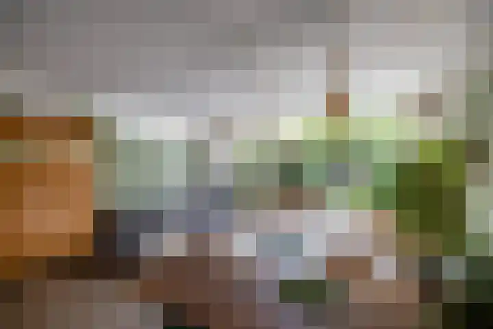 Patrijspoort 37 Groningen thumbnail 16