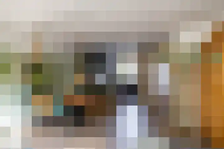 Patrijspoort 37 Groningen thumbnail 17