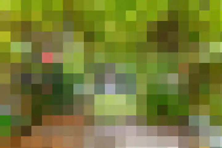 Patrijspoort 37 Groningen thumbnail 20