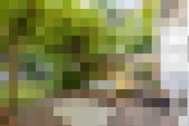 Patrijspoort 37 Groningen thumbnail 21