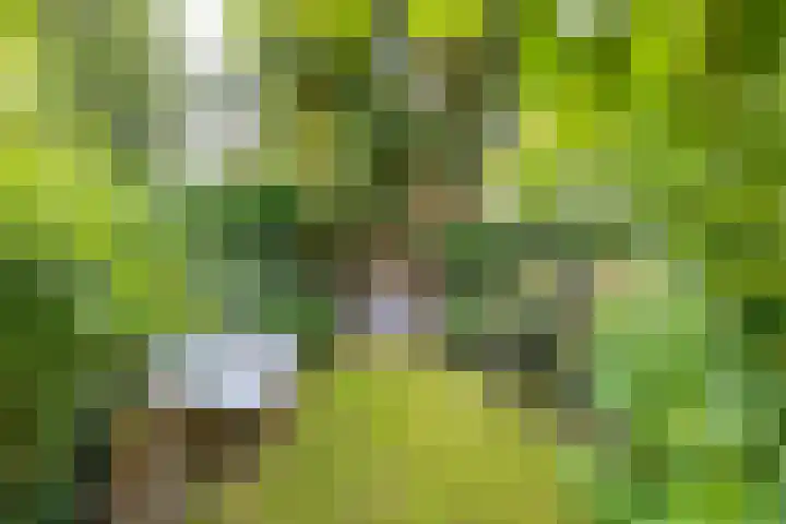 Patrijspoort 37 Groningen thumbnail 22