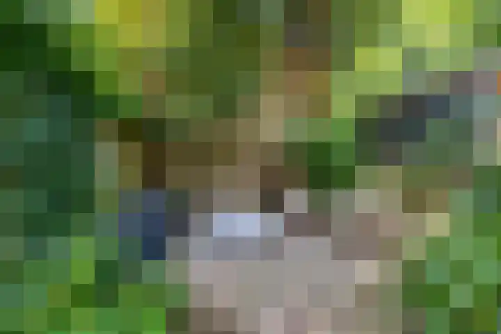 Patrijspoort 37 Groningen thumbnail 24