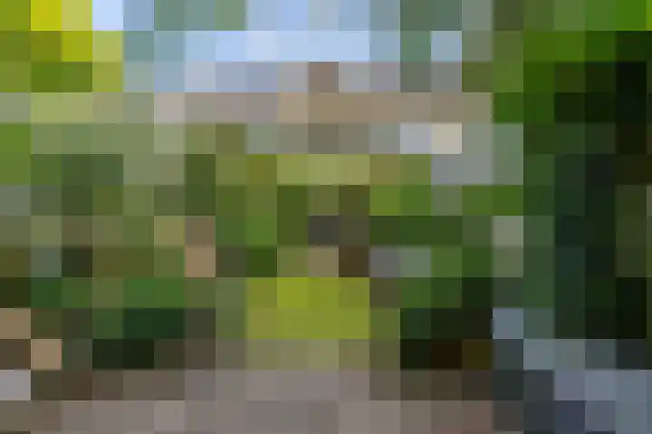 Patrijspoort 37 Groningen thumbnail 25