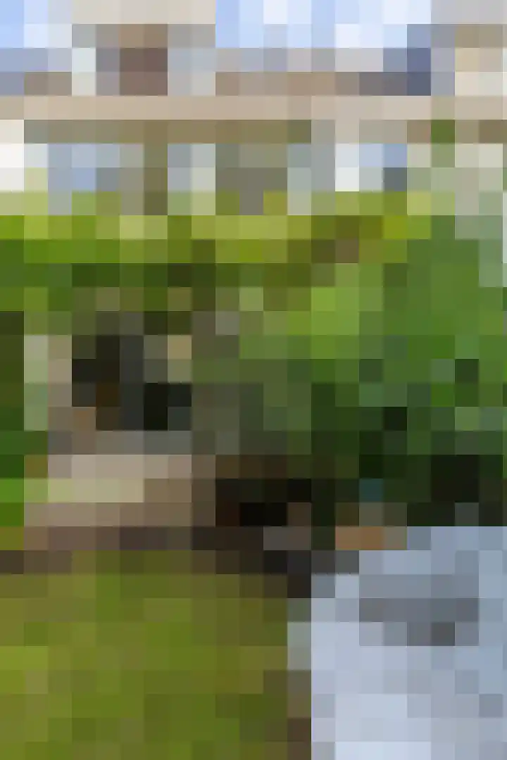 Patrijspoort 37 Groningen thumbnail 26
