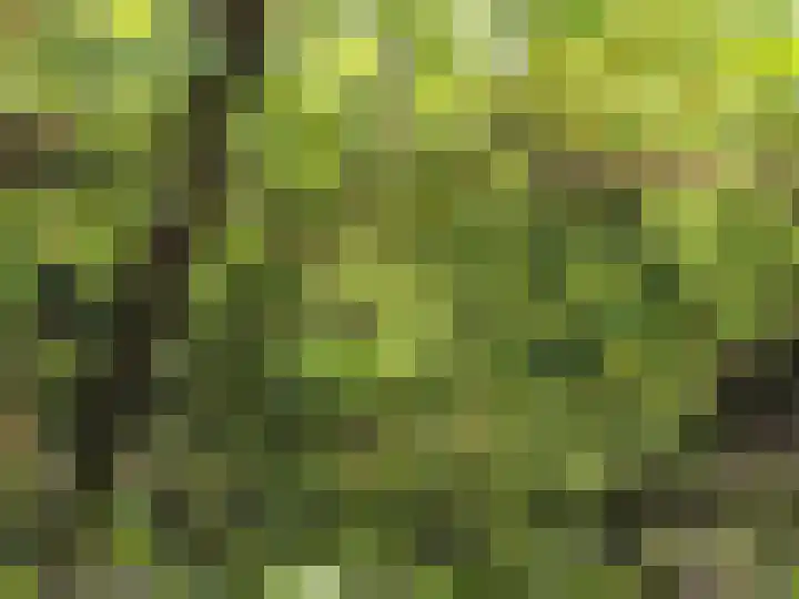 Patrijspoort 37 Groningen thumbnail 27