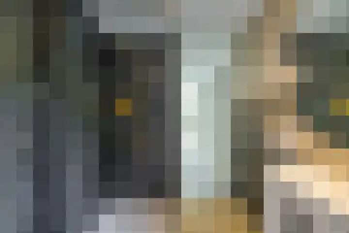 Patrijspoort 37 Groningen thumbnail 30