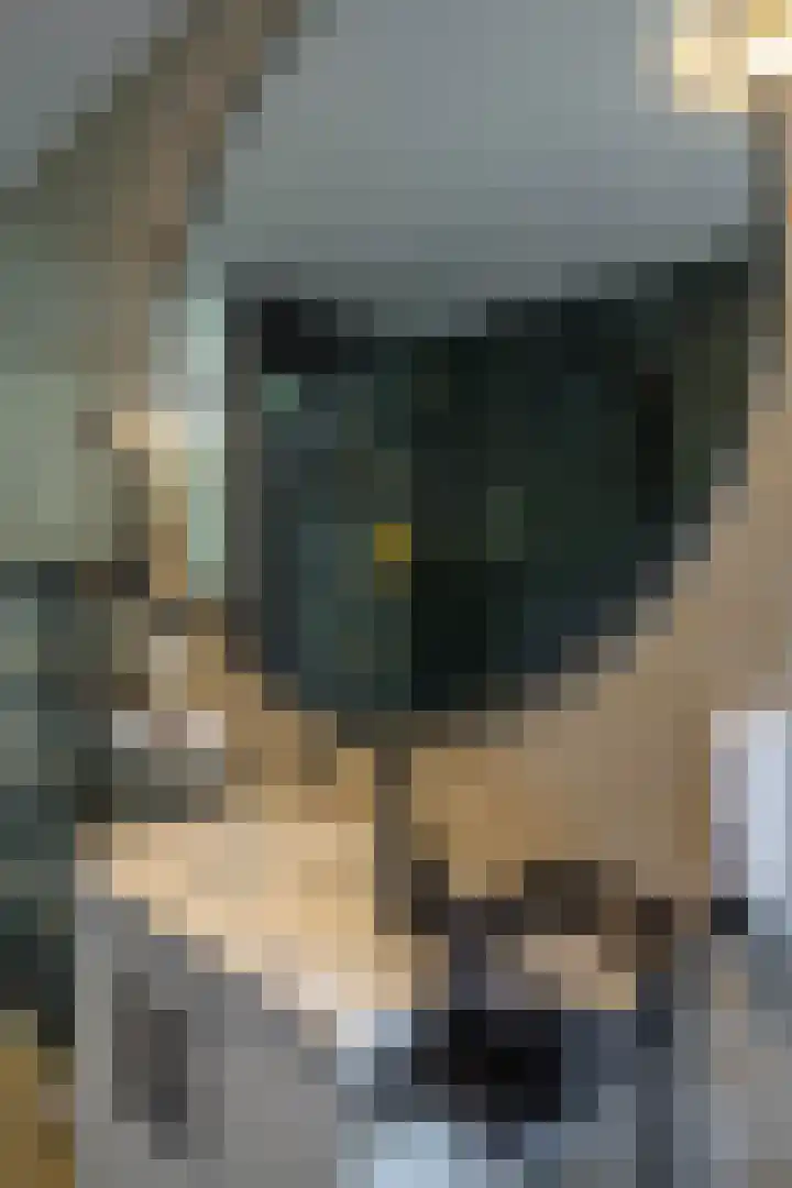 Patrijspoort 37 Groningen thumbnail 33