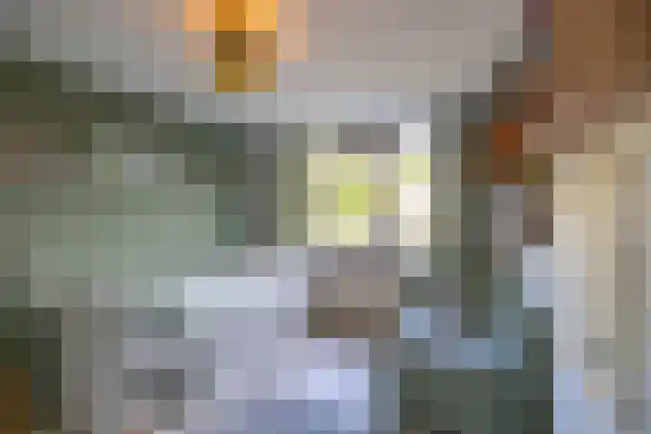 Patrijspoort 37 Groningen thumbnail 35
