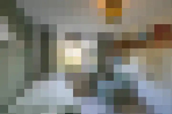 Patrijspoort 37 Groningen thumbnail 36