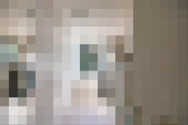 Patrijspoort 37 Groningen thumbnail 39