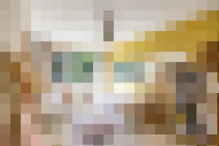 Patrijspoort 37 Groningen thumbnail 41