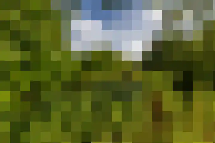 Patrijspoort 37 Groningen thumbnail 49