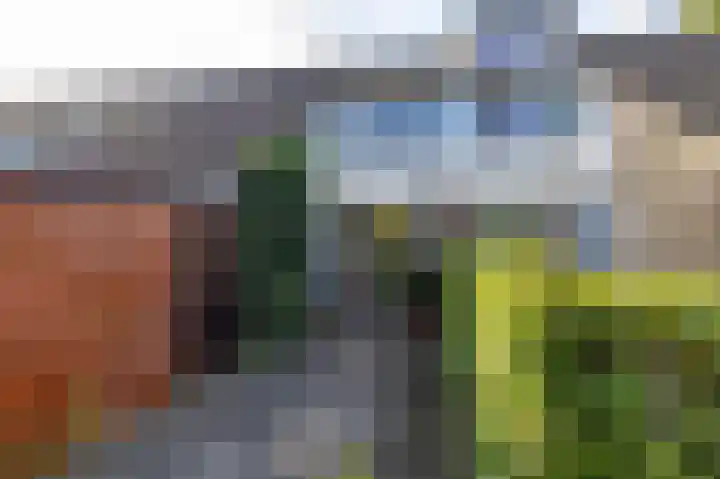 Patrijspoort 37 Groningen thumbnail 5