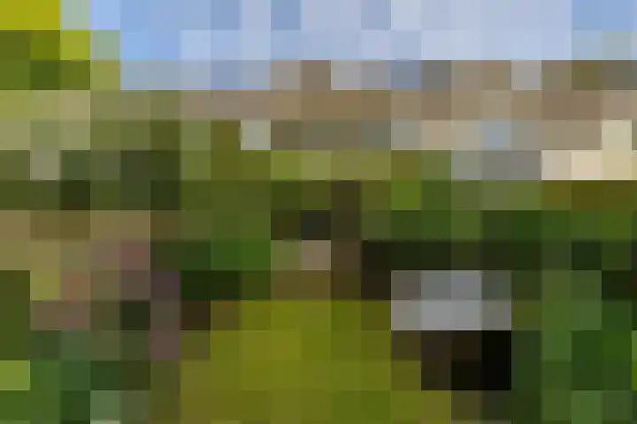 Patrijspoort 37 Groningen thumbnail 53