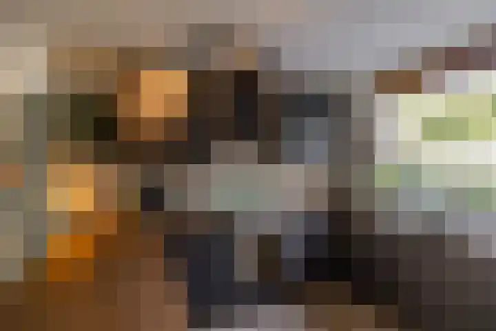 Patrijspoort 37 Groningen thumbnail 9