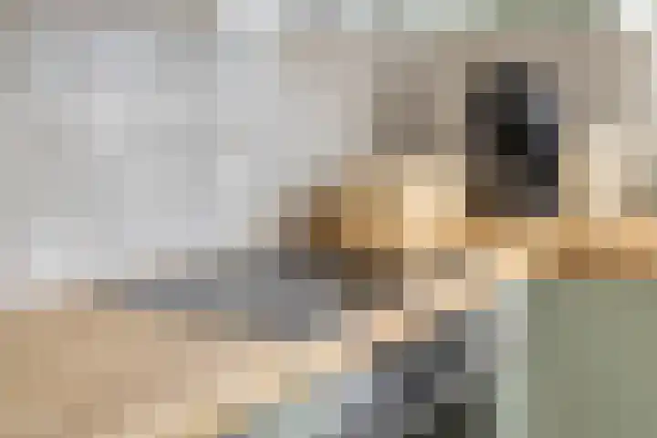 Patrijspoort 55 Groningen thumbnail 18