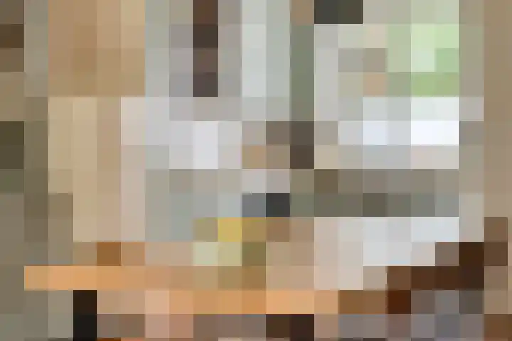 Patrijspoort 55 Groningen thumbnail 20