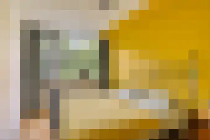Patrijspoort 55 Groningen thumbnail 25