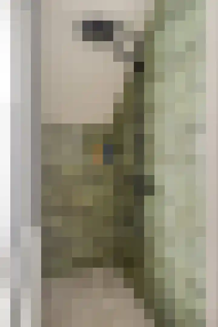 Patrijspoort 55 Groningen thumbnail 30