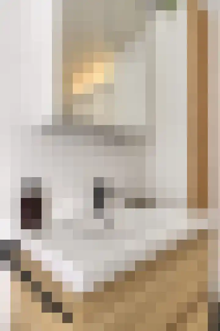 Patrijspoort 55 Groningen thumbnail 31