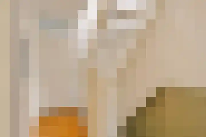 Patrijspoort 55 Groningen thumbnail 32