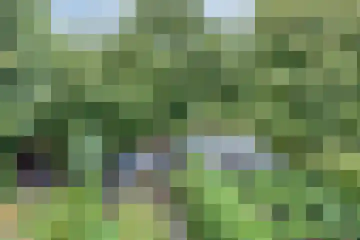 Patrijspoort 55 Groningen thumbnail 36