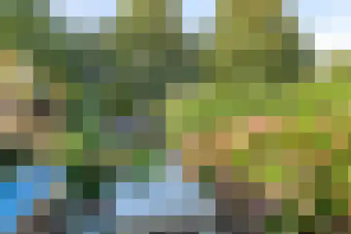 Patrijspoort 55 Groningen thumbnail 38