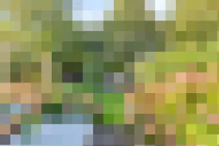 Patrijspoort 55 Groningen thumbnail 39