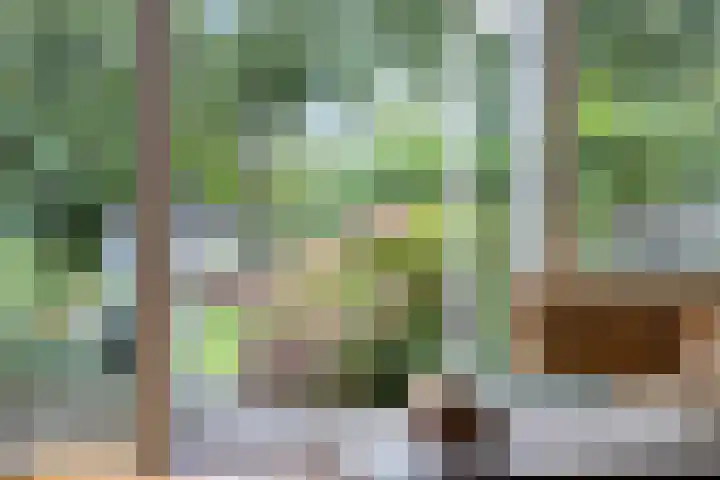 Patrijspoort 55 Groningen thumbnail 4