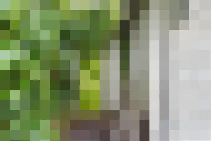 Patrijspoort 55 Groningen thumbnail 41