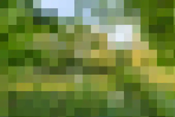 Patrijspoort 55 Groningen thumbnail 42