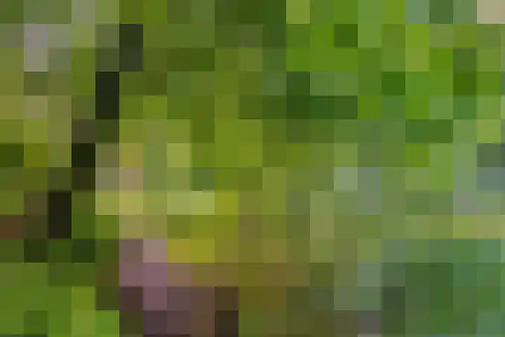 Patrijspoort 55 Groningen thumbnail 43