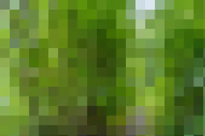 Patrijspoort 55 Groningen thumbnail 44