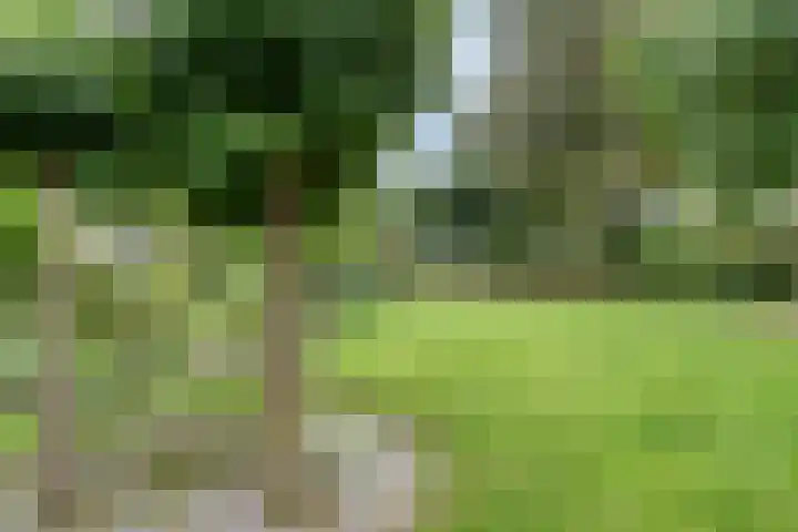 Patrijspoort 55 Groningen thumbnail 45