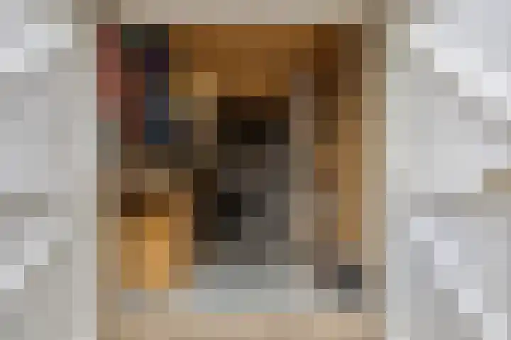 Patrijspoort 55 Groningen thumbnail 47
