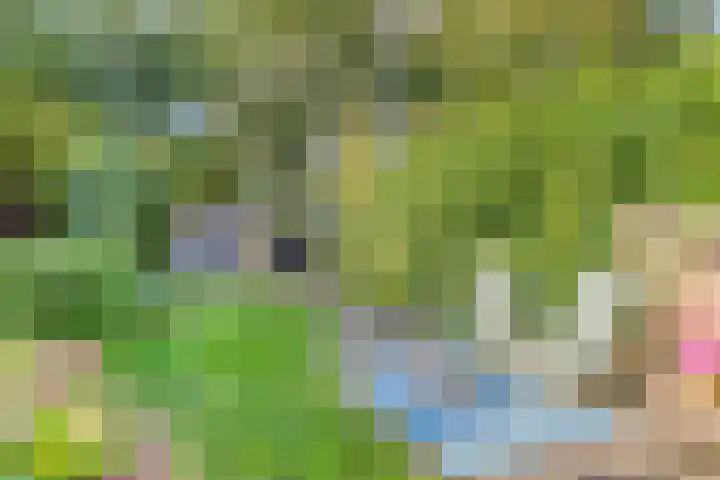 Patrijspoort 55 Groningen thumbnail 5